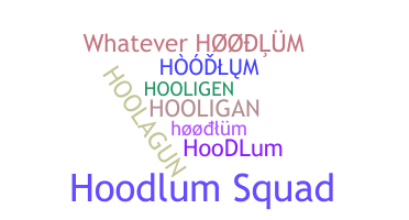उपनाम - hoodlum